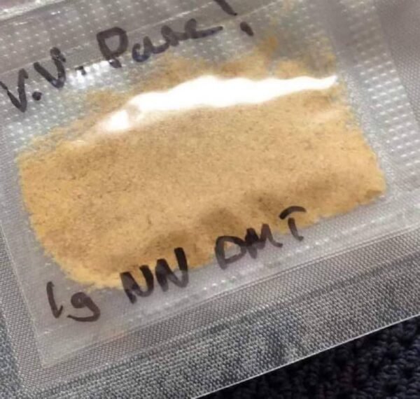 1 g nn dmt