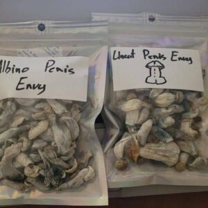 Albino Penis Envy