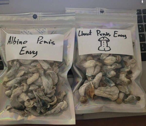 Albino Penis Envy